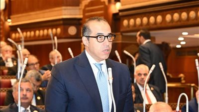 الشئون النيابية: تشكيل اللجان النوعية لمجلس الشيوخ بداية لانطلاقة برلمانية ثرية ومثمرة