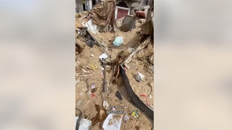 انتشار الجثث بشمال