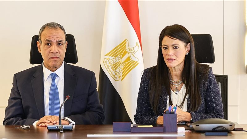 وزيرا التخطيط والخارجية