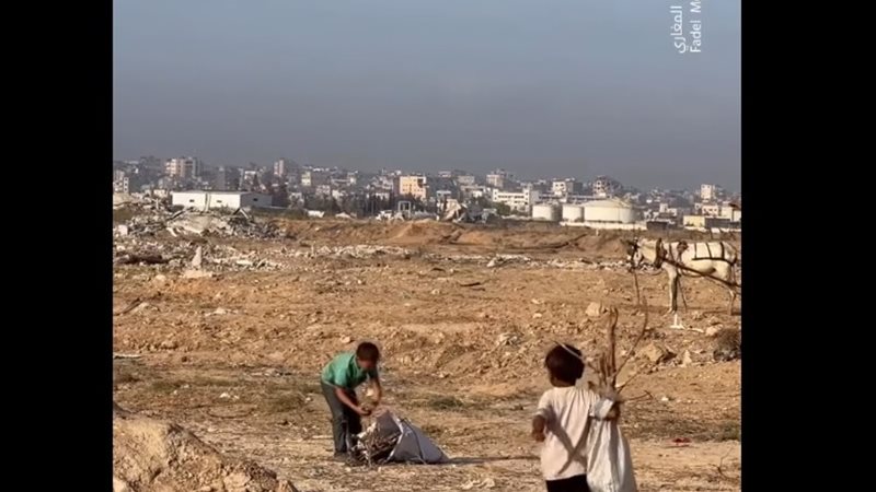 أطفال غزة.. معاناة