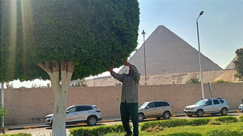 استعدادت محافظة الجيزة