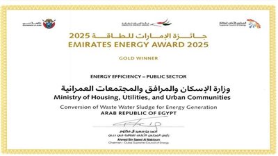 ريادة مصر الخضراء تتألق، مشروع 