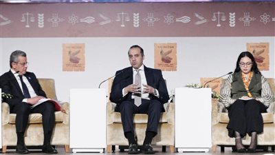 وزيرالشؤون النيابية: الحكومة منتظمة في تقديم تقارير تنفيذ برنامجها، ومكافحة الفساد أولوية