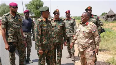 السودان حمام دم، ميليشيا الدعم السريع تسيطر على مدينة الفاشر