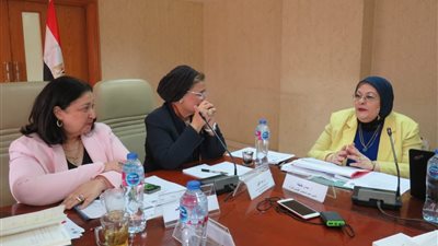 المشروع القومي للأسرة، 567 ألف مستفيد من البرامج التدريبية وتوفير 191 ألف فرصة عمل