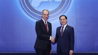 حصاد زيارة وزير الاتصالات لفيتنام، مصر توقع اتفاقية مكافحة الجريمة السيبرانية 