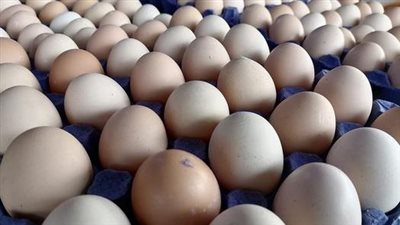 أسعار البيض قريبا ، 