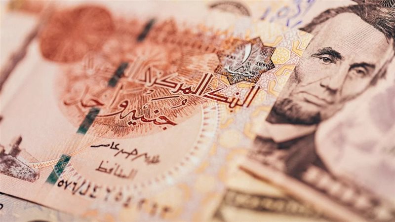 لصكوك السيادية المحلية بالجنيه