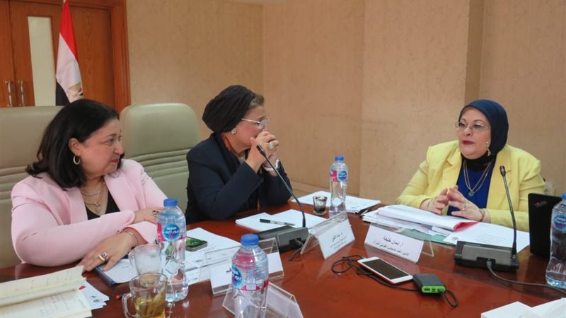 إنجازات المشروع القومي