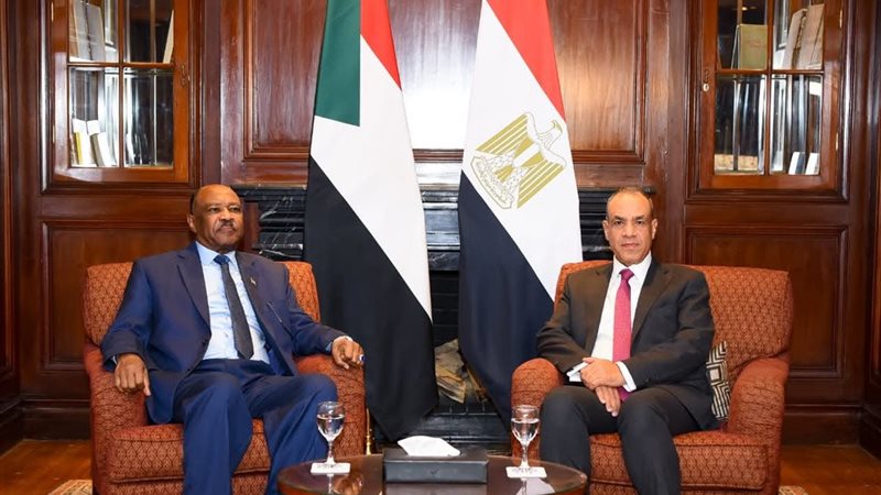 وزير الخارجية يستقبل نظيره السودانى