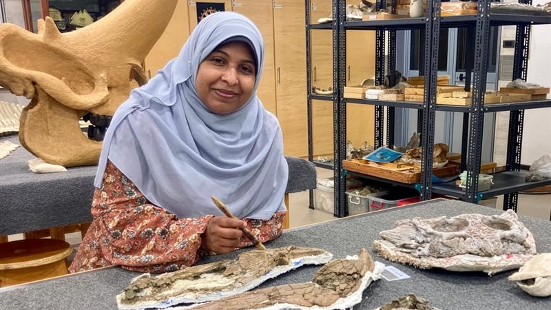 الدكتورة سارة صابر