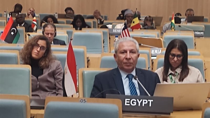 جانب من الفعاليات