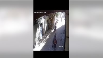 شيء من الخوف يتكرر في سوهاج، خناقة على أسبقية الري توقع عدة إصابات (فيديو)