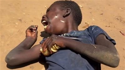 قطع الاتصالات ومسيرات انتحارية، هكذا سقطت الفاشر بيد الدعم السريع (فيديو)