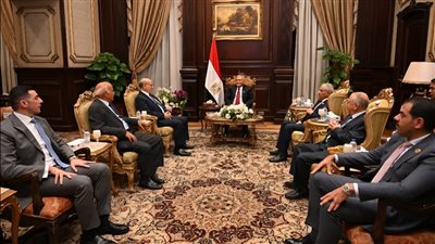 رئيس مجلس الشيوخ يؤكد أهمية التعاون بين السلطتين القضائية والتشريعية