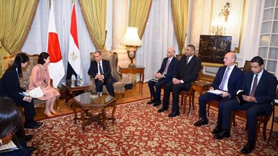 وزير الخارجية يثمن الدعم الياباني للمتحف المصري الكبير خلال لقائه مبعوثة طوكيو