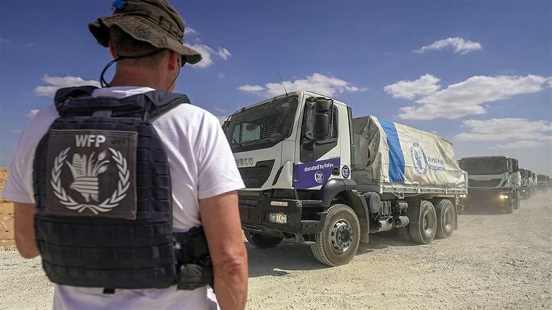 الايام المصرية