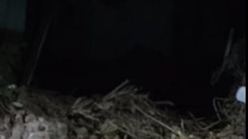 حادث صغار قنا