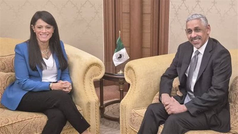 رانيا المشاط، وزيرة