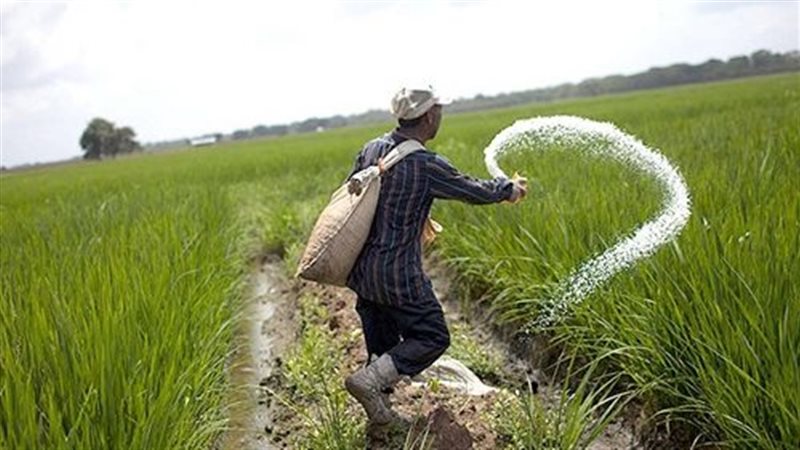 زيادة أسعار الأسمدة الزراعية