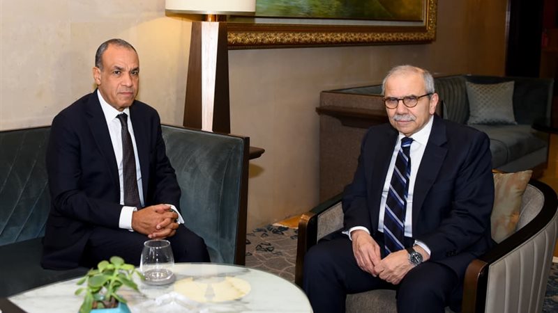 وزير الخارجية يلتقي رئيس وزراء لبنان