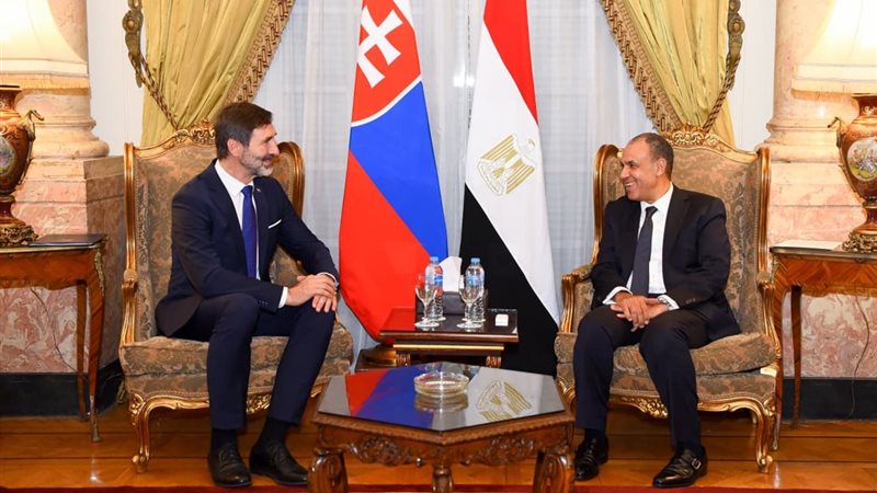 وزير الخارجية يلتقي