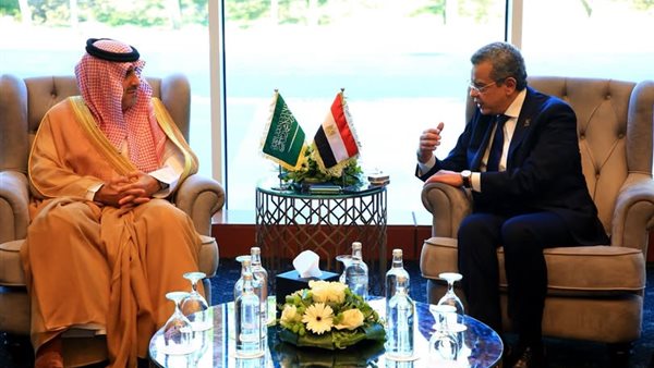 محمد الفيصل