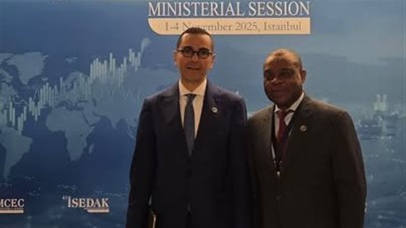 وزير الاستثمار