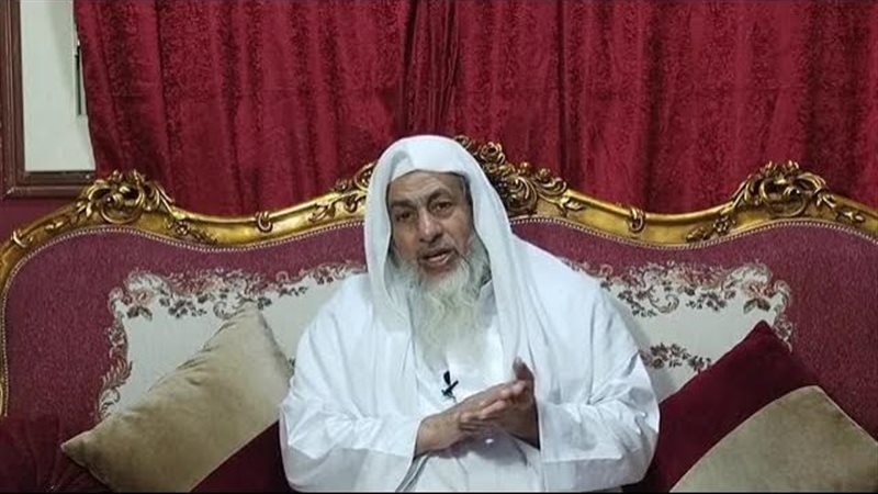 مصطفى العدوي 